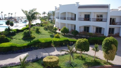 Sunrise Alma Bay (ex. Grand Seas Resort) - Egyiptom - Hurghada - Dél-Hurghada - 2024.05.12 - 05.19.