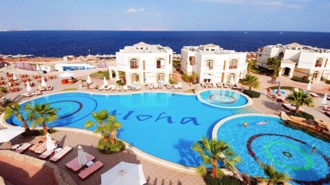 Amphoras Blu (ex. Shores Aloha) - Egyiptom - Sharm El Sheikh - 2024.11.24 - 12.02.