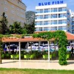 Blue Fish - Törökország - Török Riviéra - Konakli - 2025.07.15. (K) - 07.18. (P)