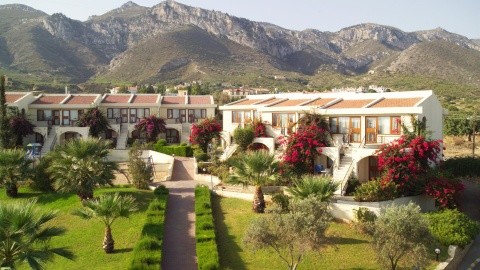 The Olive Tree - Ciprus - Észak-Ciprus - Agios Epiktitos - 2025.11.16. (V) - 11.22. (Szo)