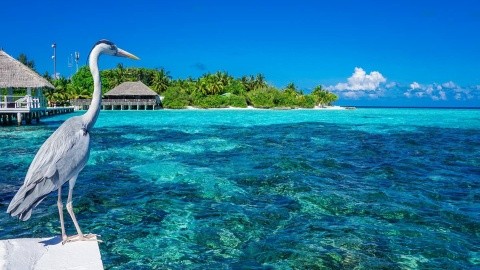 ERI Maldives (ex. Eriyadu Island Resort) - Maldív-szigetek - Északi Atol Male - 2025.11.26. (Sze) - 12.02. (K)