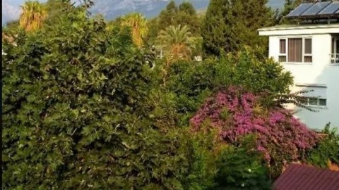 Kemer Star (ex. Kemer Residence) - Törökország - Kemer - 2025.12.16. (K) - 12.23. (K)