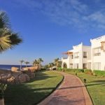 Albatros Palace Resort Sharm El Sheikh (ex. Melia Sharm Resort & Spa) - Egyiptom - Sharm El Sheikh - 2025.12.13. (Szo) - 12.20. (Szo)