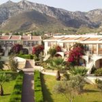 The Olive Tree - Ciprus - &Eacute;szak-Ciprus - Agios Epiktitos - 2026.01.18. (V) - 01.25. (V)