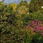 Kemer Star (ex. Kemer Residence) - T&ouml;r&ouml;korsz&aacute;g - Kemer - 2026.01.31. (Szo) - 02.07. (Szo)