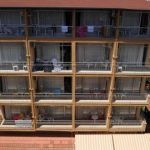 Kleopatra Bebek - 3 csillagos sz&aacute;ll&aacute;s - T&ouml;r&ouml;korsz&aacute;g, Alanya - Reggeli