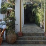Okaliptus - 3 csillagos sz&aacute;ll&aacute;s - T&ouml;r&ouml;korsz&aacute;g, Bodrum - Reggeli