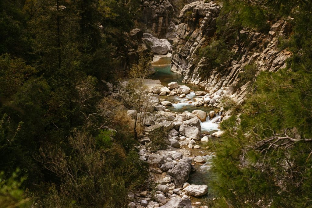 Sziklás patakmeder és fenyők a Göynük-kanyonban, Kemer mellett